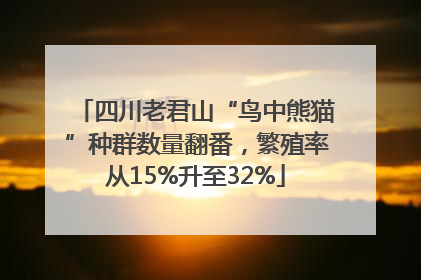 四川老君山“鸟中熊猫”种群数量翻番，繁殖率从15%升至32%