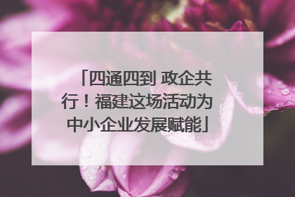 四通四到 政企共行！福建这场活动为中小企业发展赋能
