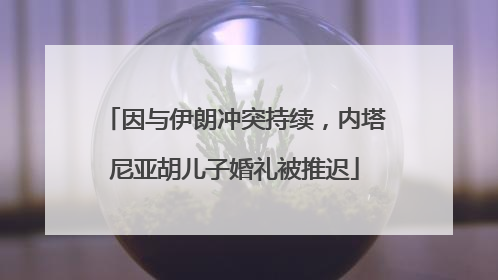 因与伊朗冲突持续，内塔尼亚胡儿子婚礼被推迟