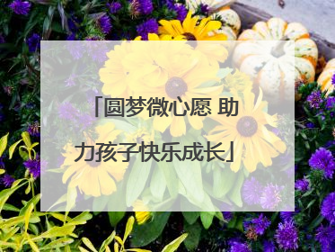 圆梦微心愿 助力孩子快乐成长