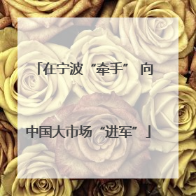 在宁波“牵手” 向中国大市场“进军”