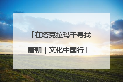 在塔克拉玛干寻找唐朝｜文化中国行