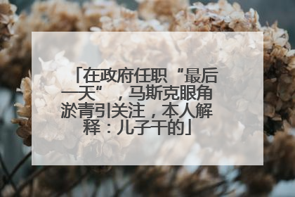 在政府任职“最后一天”，马斯克眼角淤青引关注，本人解释：儿子干的