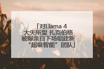 对Llama 4大失所望 扎克伯格被曝亲自下场组建新“超级智能”团队