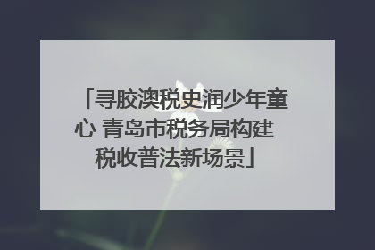寻胶澳税史润少年童心 青岛市税务局构建税收普法新场景