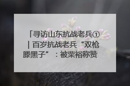 寻访山东抗战老兵①｜百岁抗战老兵“双枪滕黑子”：被粟裕称赞的“孤胆英雄”