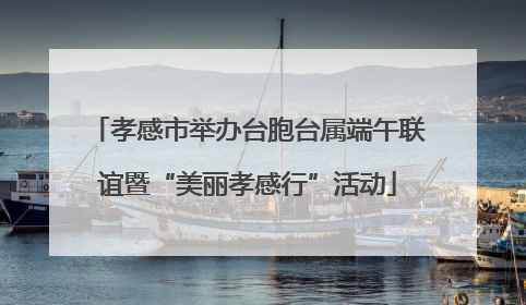 孝感市举办台胞台属端午联谊暨“美丽孝感行”活动