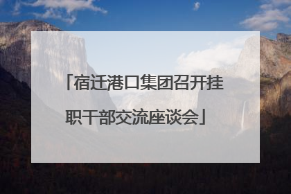 宿迁港口集团召开挂职干部交流座谈会