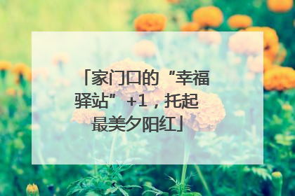 家门口的“幸福驿站”+1，托起最美夕阳红