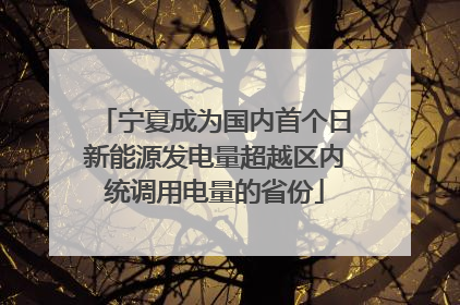 宁夏成为国内首个日新能源发电量超越区内统调用电量的省份