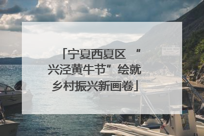 宁夏西夏区 “兴泾黄牛节”绘就乡村振兴新画卷