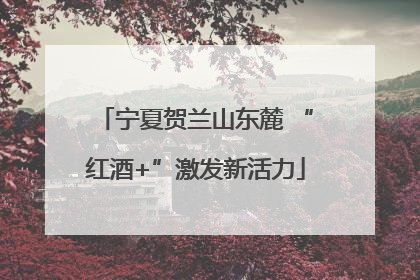 宁夏贺兰山东麓 “红酒+”激发新活力