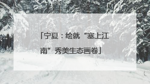 宁夏：绘就“塞上江南”秀美生态画卷