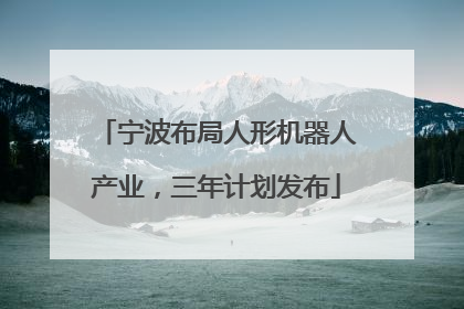 宁波布局人形机器人产业，三年计划发布