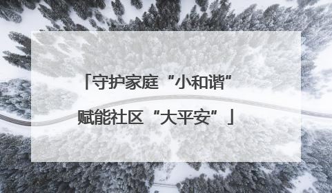 守护家庭“小和谐” 赋能社区“大平安”