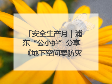 安全生产月｜浦东“公小护”分享《地下空间要防灾，守护平安有我在》安全谣