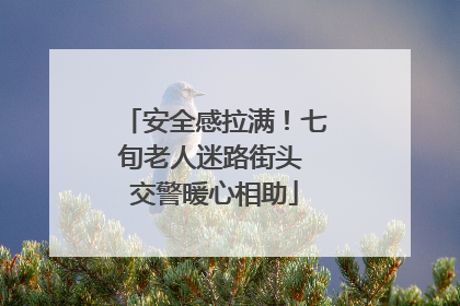 安全感拉满！七旬老人迷路街头 交警暖心相助