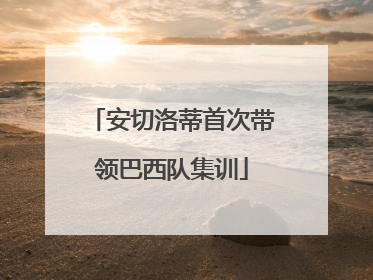 安切洛蒂首次带领巴西队集训