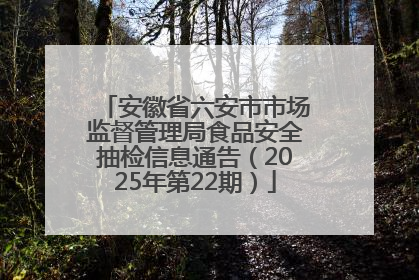 安徽省六安市市场监督管理局食品安全抽检信息通告（2025年第22期）