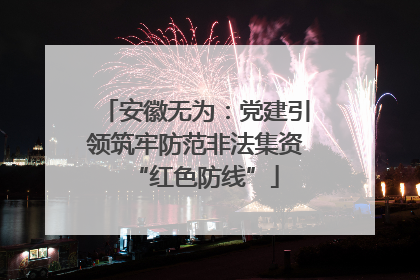 安徽无为：党建引领筑牢防范非法集资“红色防线”