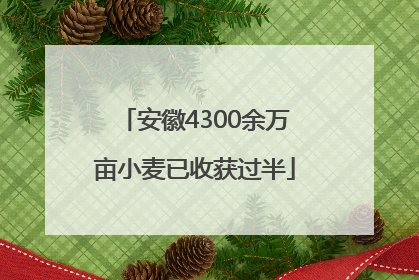 安徽4300余万亩小麦已收获过半