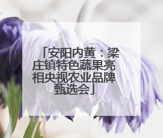 安阳内黄：梁庄镇特色蔬果亮相央视农业品牌甄选会