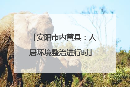 安阳市内黄县：人居环境整治进行时