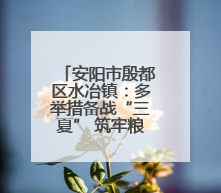 安阳市殷都区水冶镇：多举措备战“三夏” 筑牢粮食安全防线