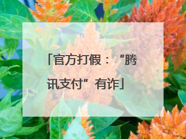 官方打假：“腾讯支付”有诈