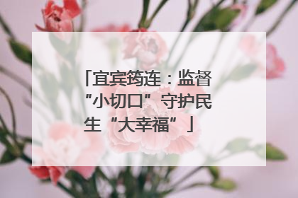 宜宾筠连：监督“小切口”守护民生“大幸福”