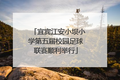 宜宾江安小坝小学第五届校园足球联赛顺利举行