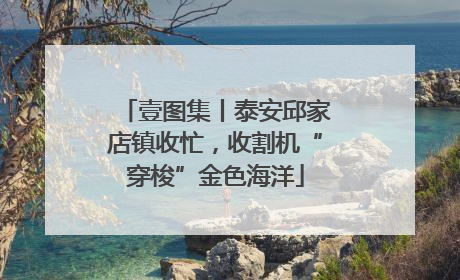 壹图集丨泰安邱家店镇收忙，收割机“穿梭”金色海洋