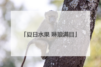 夏日水果 琳琅满目