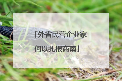 外省民营企业家何以扎根商南