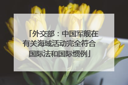 外交部:中国军舰在有关海域活动完全符合国际法和国际惯例