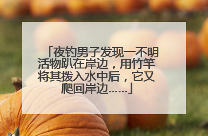 夜钓男子发现一不明活物趴在岸边，用竹竿将其拨入水中后，它又爬回岸边……