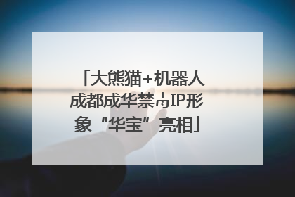 大熊猫+机器人 成都成华禁毒IP形象“华宝”亮相