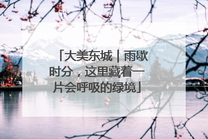 大美东城｜雨歇时分，这里藏着一片会呼吸的绿境