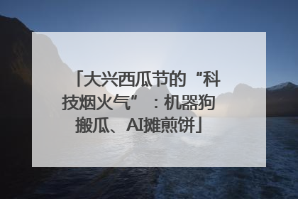 大兴西瓜节的“科技烟火气”：机器狗搬瓜、AI摊煎饼