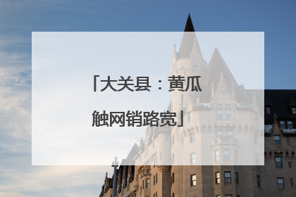 大关县：黄瓜触网销路宽
