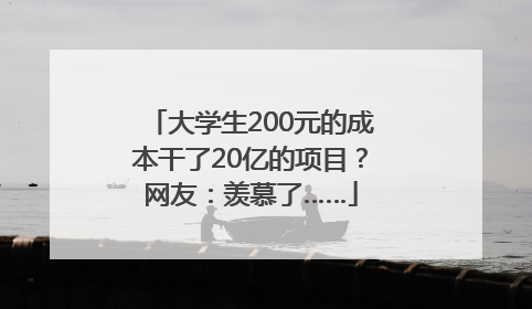 大学生200元的成本干了20亿的项目？网友：羡慕了……