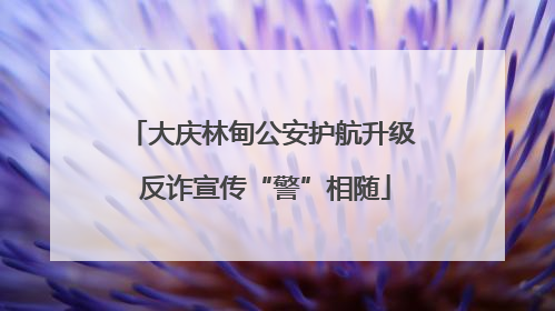 大庆林甸公安护航升级 反诈宣传“警”相随