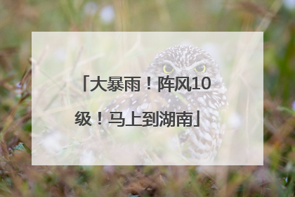 大暴雨！阵风10级！马上到湖南