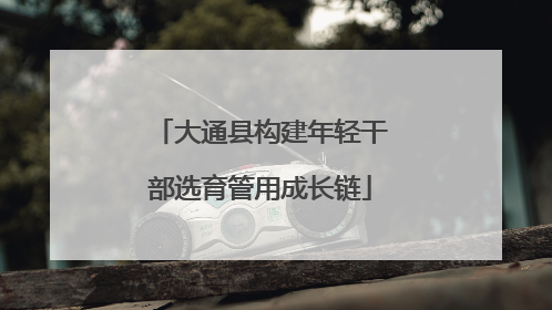 大通县构建年轻干部选育管用成长链