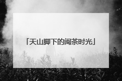 天山脚下的闽茶时光