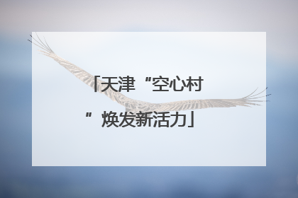 天津“空心村”焕发新活力