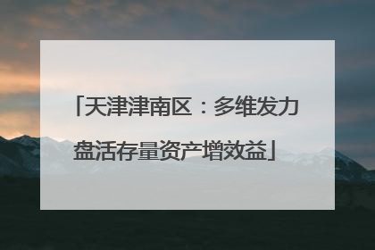 天津津南区：多维发力盘活存量资产增效益