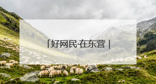 好网民·在东营｜东营区融媒体中心：创新突破显担当 直播赋能谱华章