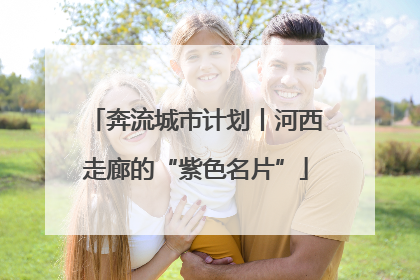 奔流城市计划丨河西走廊的“紫色名片”