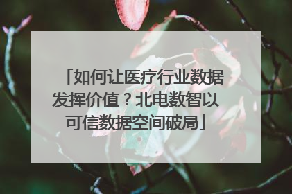 如何让医疗行业数据发挥价值？北电数智以可信数据空间破局
